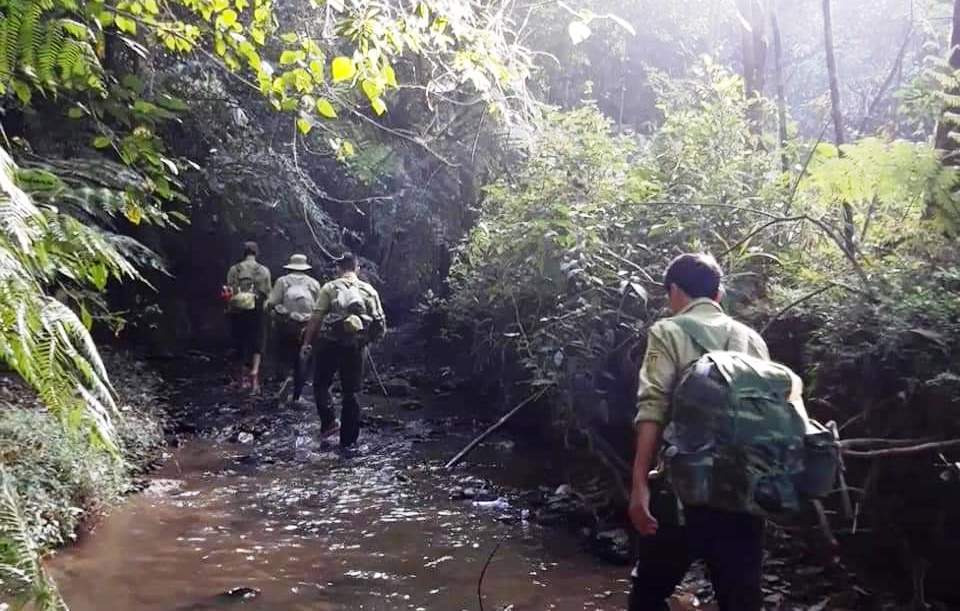 Tăng cường thực hiện các biện pháp ngăn chặn, xử lý tình trạng phá rừng trái phép trên địa bàn huyện